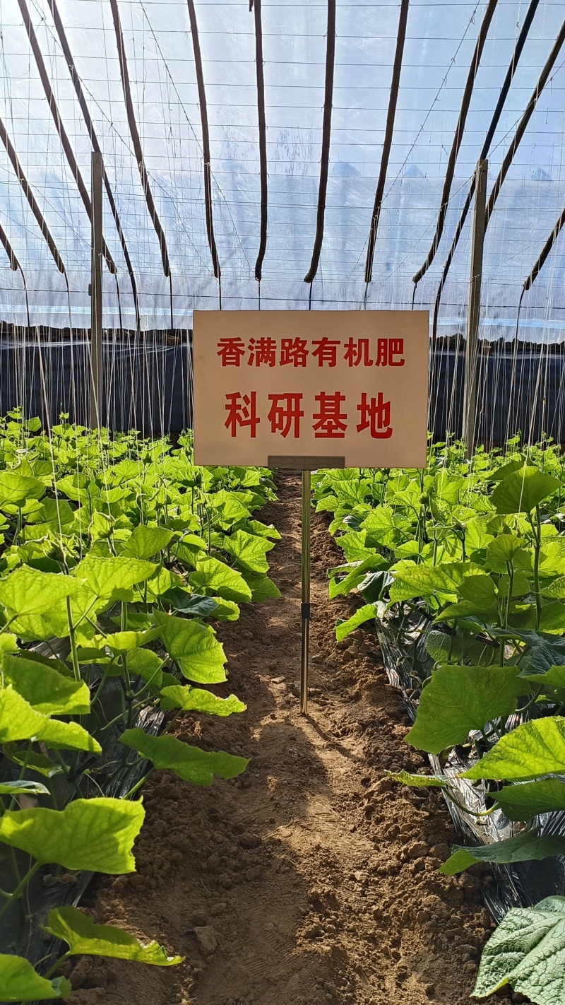 青岛鸡粪,烟台发酵鸡粪,威海鸡粪有机肥,潍坊干鸡粪肥农田
