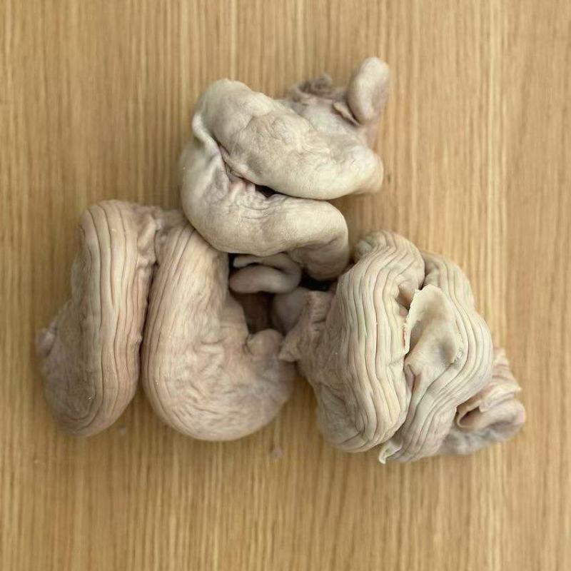 牛花肠牛胎盘牛脆脆肠