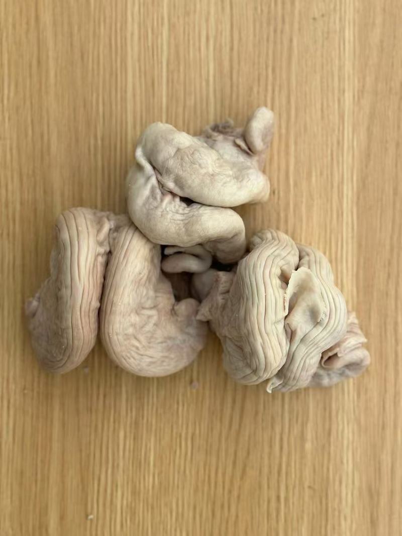 牛花肠牛胎盘牛脆脆肠