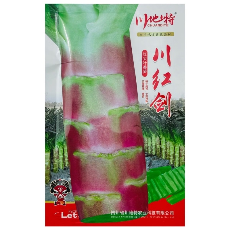 川红剑红尖叶香莴笋种籽青肉香莴笋种子肉翠绿香味浓红叶莴苣