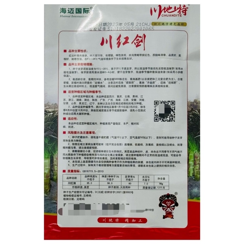 川红剑红尖叶香莴笋种籽青肉香莴笋种子肉翠绿香味浓红叶莴苣