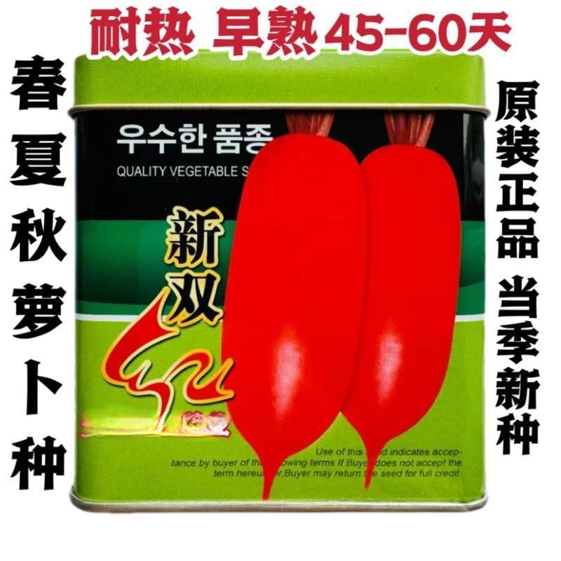 新双红耐热红萝卜种子大全新品种早熟杂交萝卜种籽抗热红皮萝