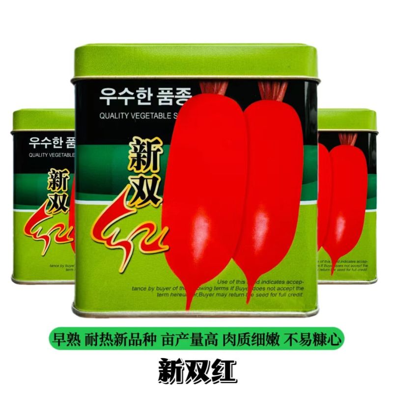 新双红耐热红萝卜种子大全新品种早熟杂交萝卜种籽抗热红皮萝