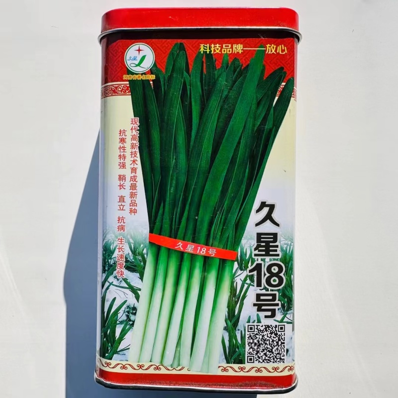 久星18号韭菜种子抗寒性特强生长速度快产量高
