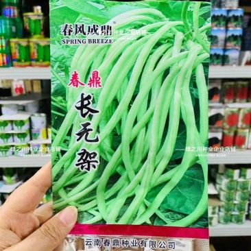 春鼎长无架豇豆种子免搭架豆角种子产量高无架豆