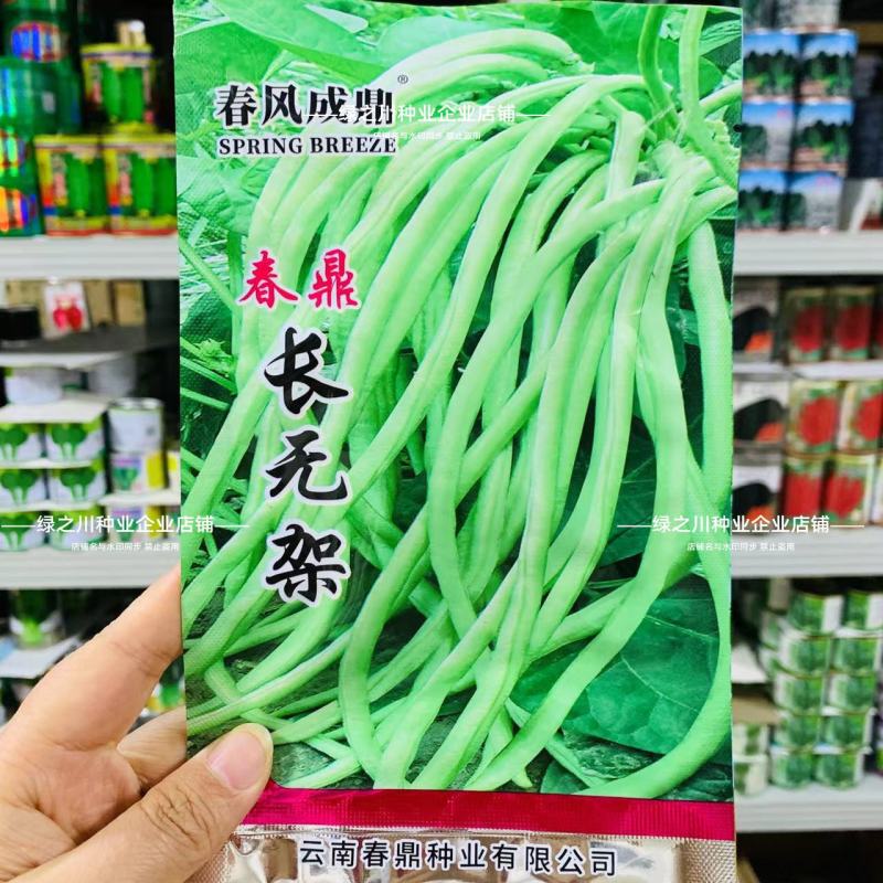 春鼎长无架豇豆种子免搭架豆角种子产量高无架豆