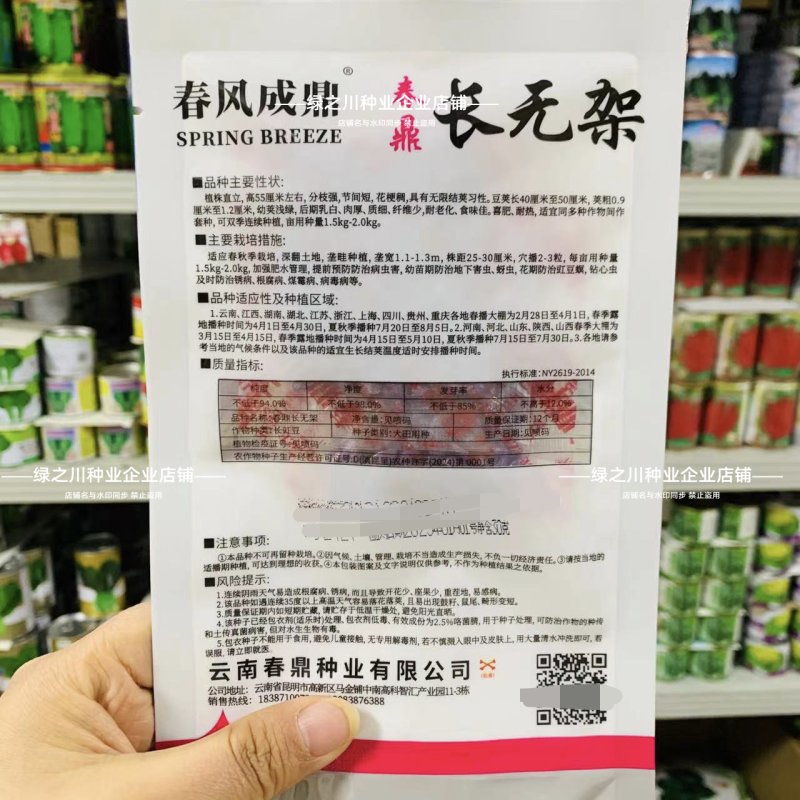 春鼎长无架豇豆种子免搭架豆角种子产量高无架豆