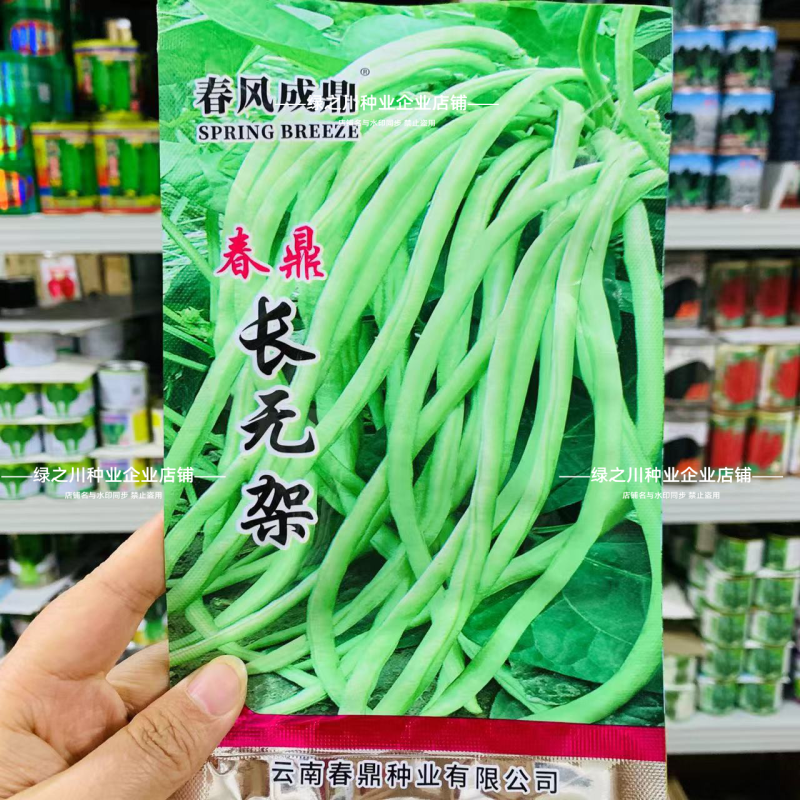 春鼎长无架豇豆种子免搭架豆角种子产量高无架豆