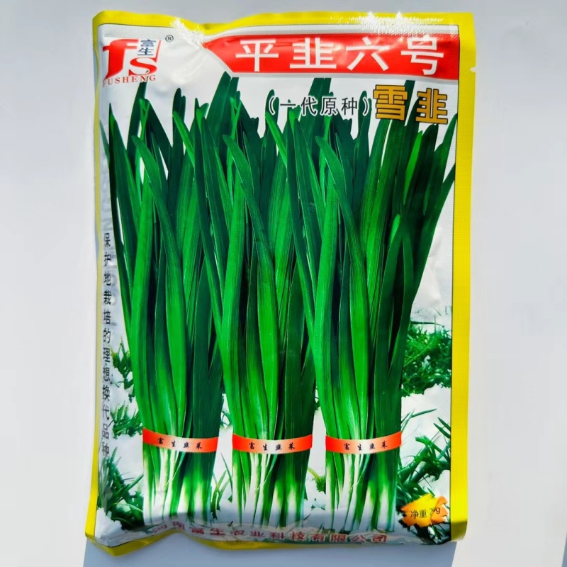 韭菜种子平韭六号韭菜种子抗寒性极强冬季不休眠