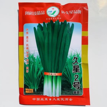 久星2号韭菜种子宽叶直立抗病高产特抗寒韭菜韭黄种子
