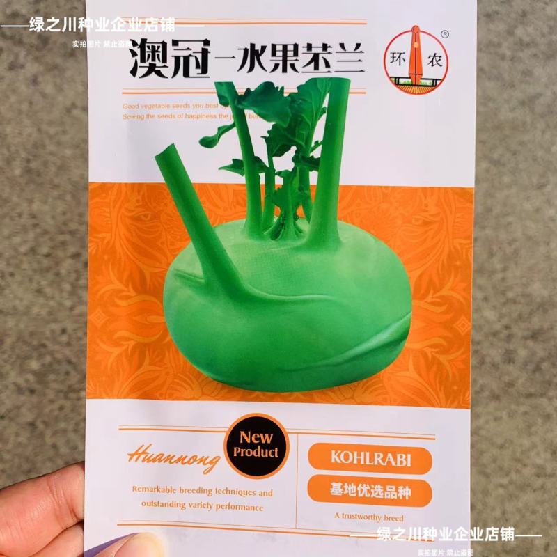 基地优选三系杂交青苤兰种子水果苤兰种子早熟春秋扁圆型苤蓝