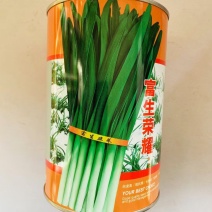 富生荣耀韭菜种子抗寒性极强高抗病直立性强抗倒伏