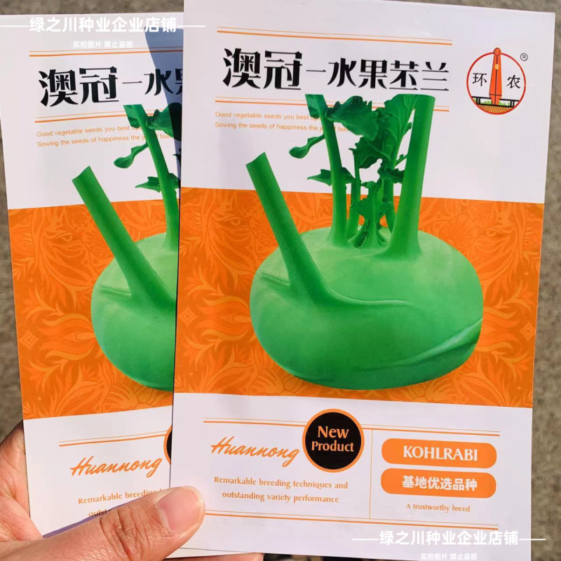 基地优选三系杂交青苤兰种子水果苤兰种子早熟春秋扁圆型苤蓝