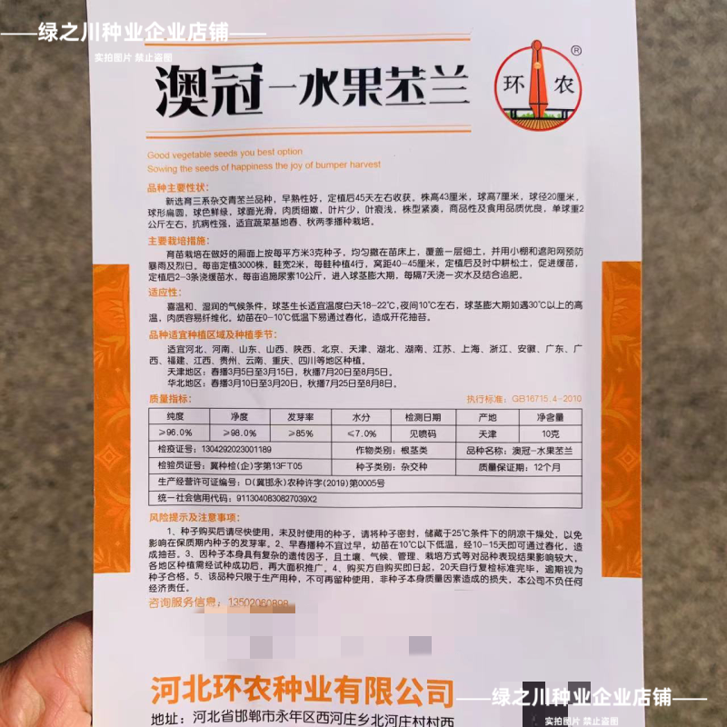 基地优选三系杂交青苤兰种子水果苤兰种子早熟春秋扁圆型苤蓝