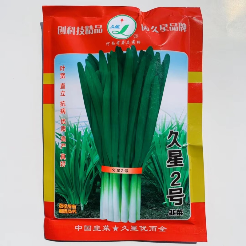 久星2号韭菜种子宽叶直立抗病高产特抗寒韭菜韭黄种子