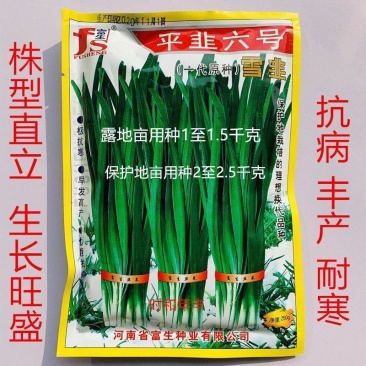 富生平韭六号韭菜种子抗病丰产耐寒农家菜园大田基地春秋播蔬