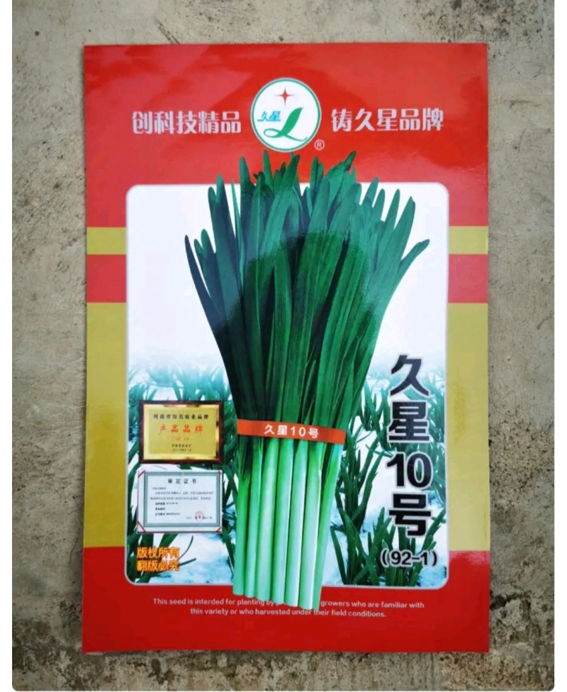 久星10号韭菜种籽高产耐寒耐热高产不休眠优质河南韭菜种子