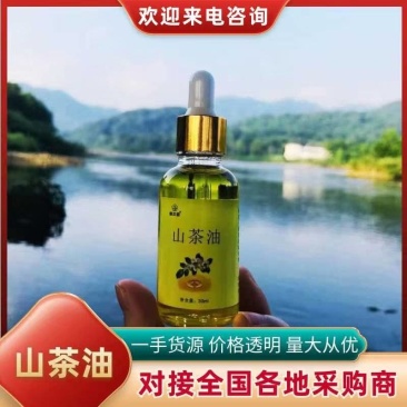 【精品】山茶油一手货源可视频看货量大从优
