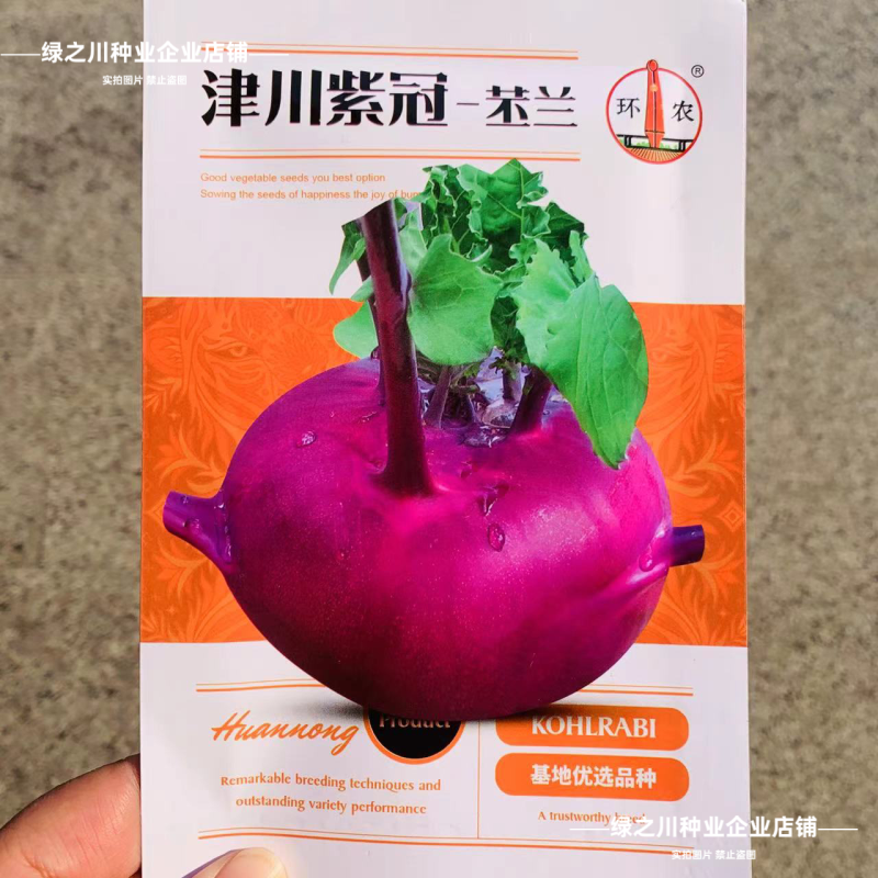 津川紫冠苤兰种子紫苤蓝种籽中熟扁圆皮薄质脆秋季紫红色苤蓝