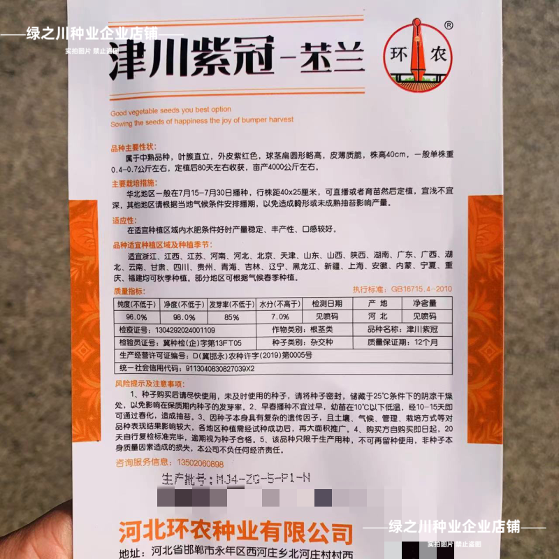 津川紫冠苤兰种子紫苤蓝种籽中熟扁圆皮薄质脆秋季紫红色苤蓝