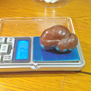 老母鸡宝18克，全风干品质好2000元一个