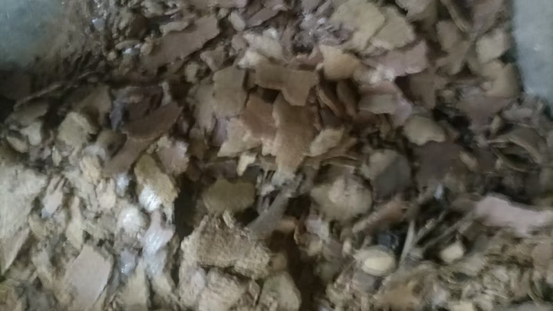 菜籽饼黄饼加工利用保质保量欢迎选购
