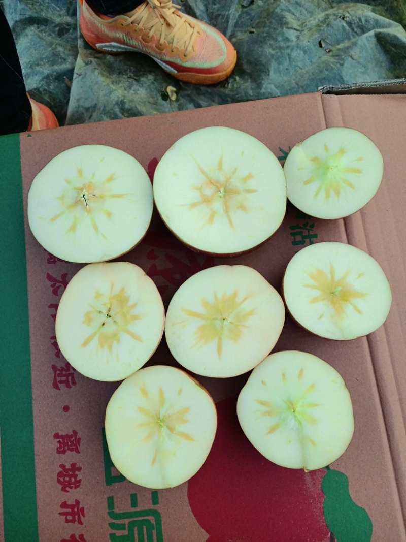 丑苹果四川盐源大凉山的糖心苹果，货源充足可视频看货