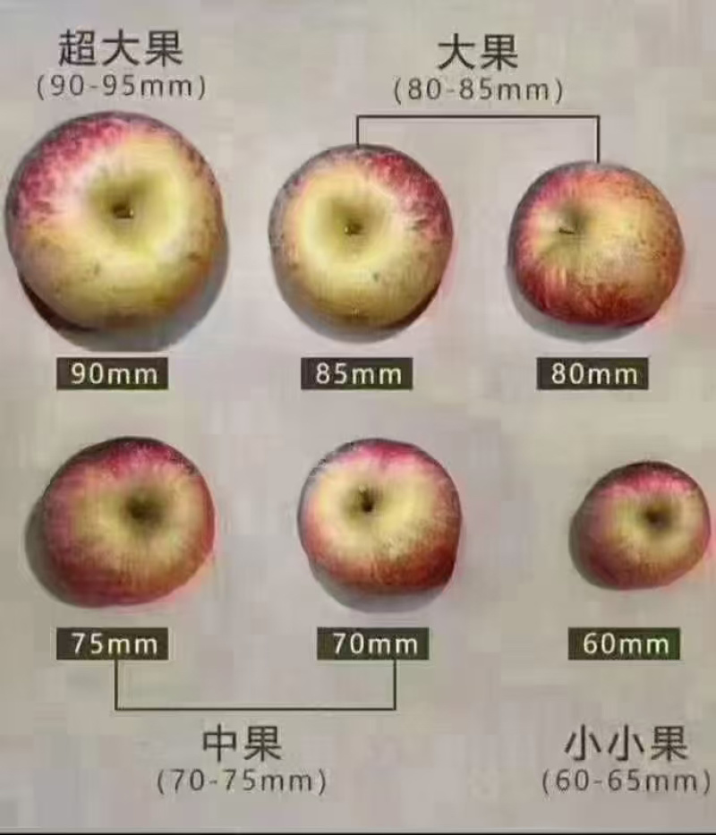 丑苹果四川盐源大凉山的糖心苹果，货源充足可视频看货