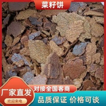 【精品】菜籽饼黄饼加工利用保质保量欢迎选购