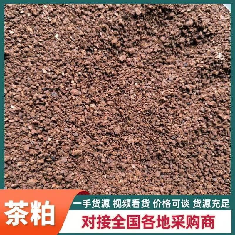 【精品】茶粕一手货源可视频看货保质保量欢迎选购