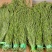 特价云南贡菜火锅贡菜