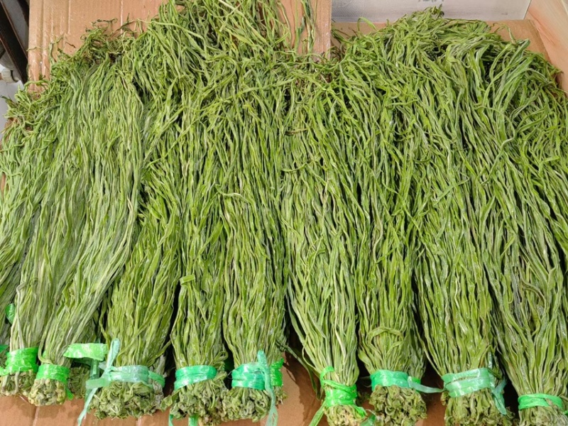 特价云南贡菜火锅贡菜