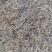 海龙速冻