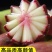 冰激凌甜心水果萝卜种子甜脆型糖心紫皮萝卜种孑春秋季蔬菜