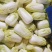 河南娃娃菜大娃娃菜黄叶嫩脆按需加工货源稳定长期合作