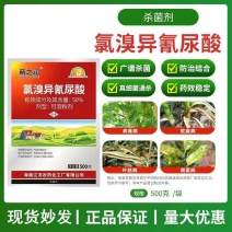 柑橘溃疡病芒果角斑病桃树穿孔病番茄青枯细菌病氯溴异氰尿酸