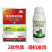 柑橘溃疡病芒果角斑病桃树穿孔病番茄青枯细菌病氯溴异氰尿酸