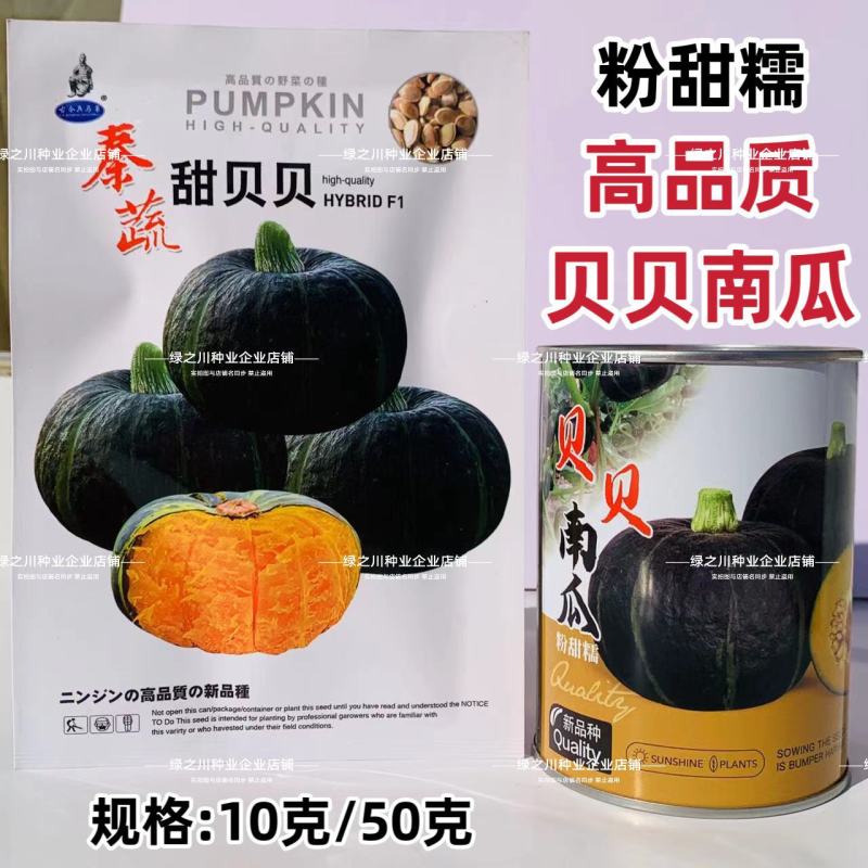 秦蔬甜贝贝南瓜种子粉甜糯贝贝南瓜种籽正宗高品质小南瓜香甜