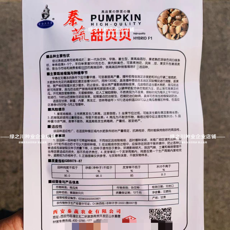 秦蔬甜贝贝南瓜种子粉甜糯贝贝南瓜种籽正宗高品质小南瓜香甜