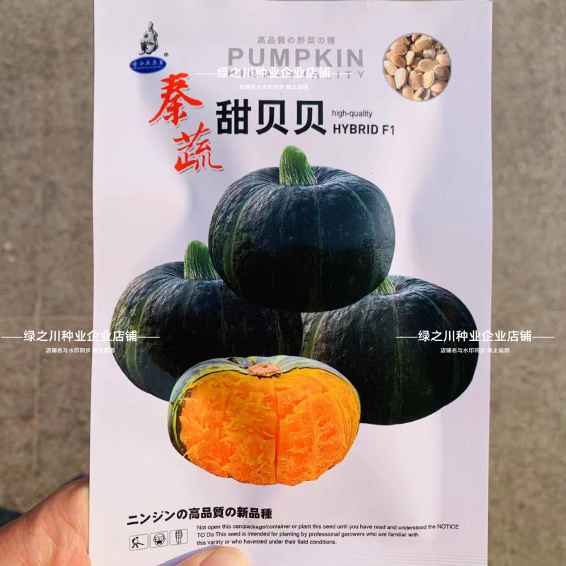秦蔬甜贝贝南瓜种子粉甜糯贝贝南瓜种籽正宗高品质小南瓜香甜