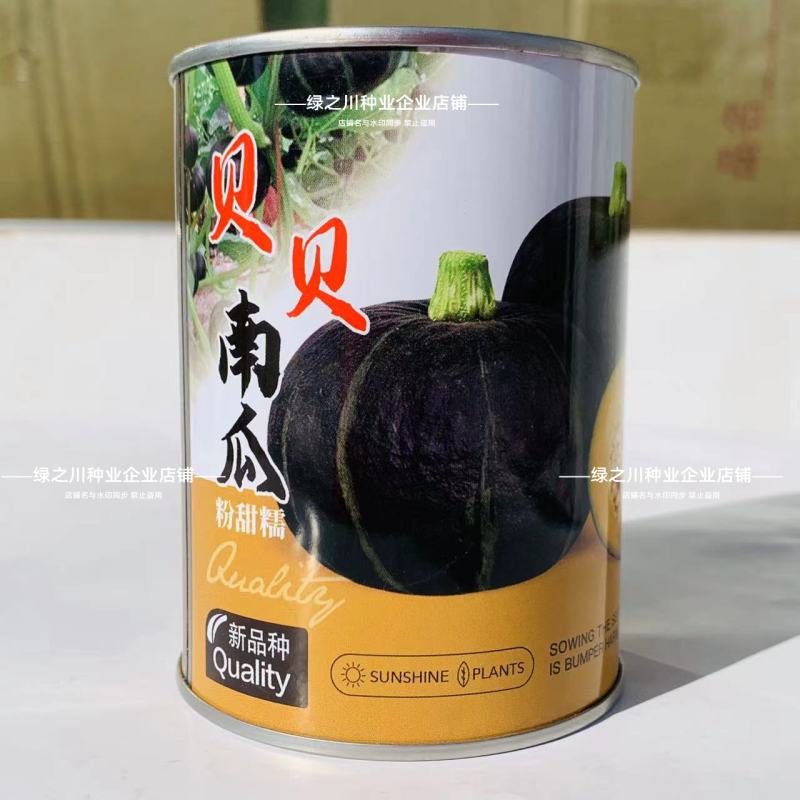 秦蔬甜贝贝南瓜种子粉甜糯贝贝南瓜种籽正宗高品质小南瓜香甜