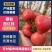 【高人气】硬度好硬粉西红柿沙瓤蜜蜂授粉碱地种植甜度高按需
