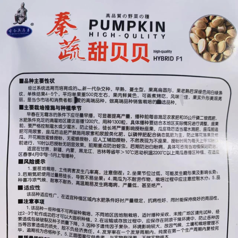 秦蔬甜贝贝南瓜种子粉甜糯贝贝南瓜种籽正宗高品质小南瓜香甜