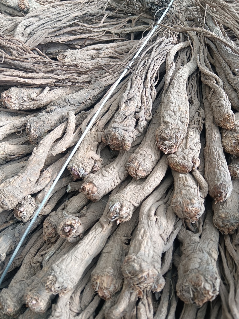 无硫精品半成品当归量大从优可视频看货产地直发一手货源