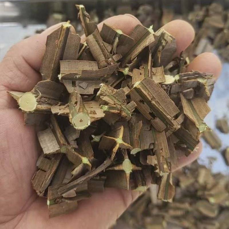 鬼箭羽段细支大羽数量不多了急处理