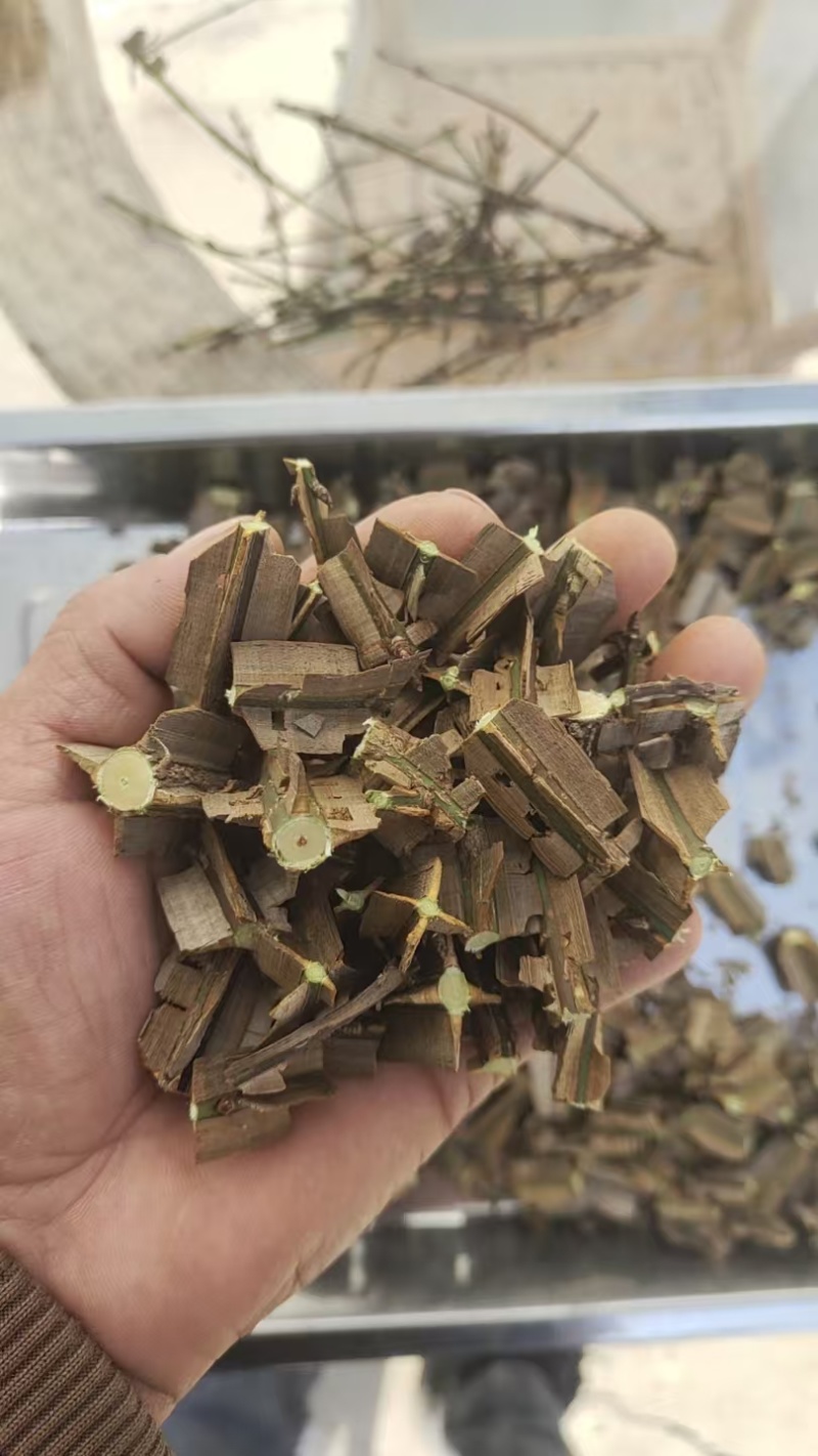 鬼箭羽段细支大羽数量不多了急处理