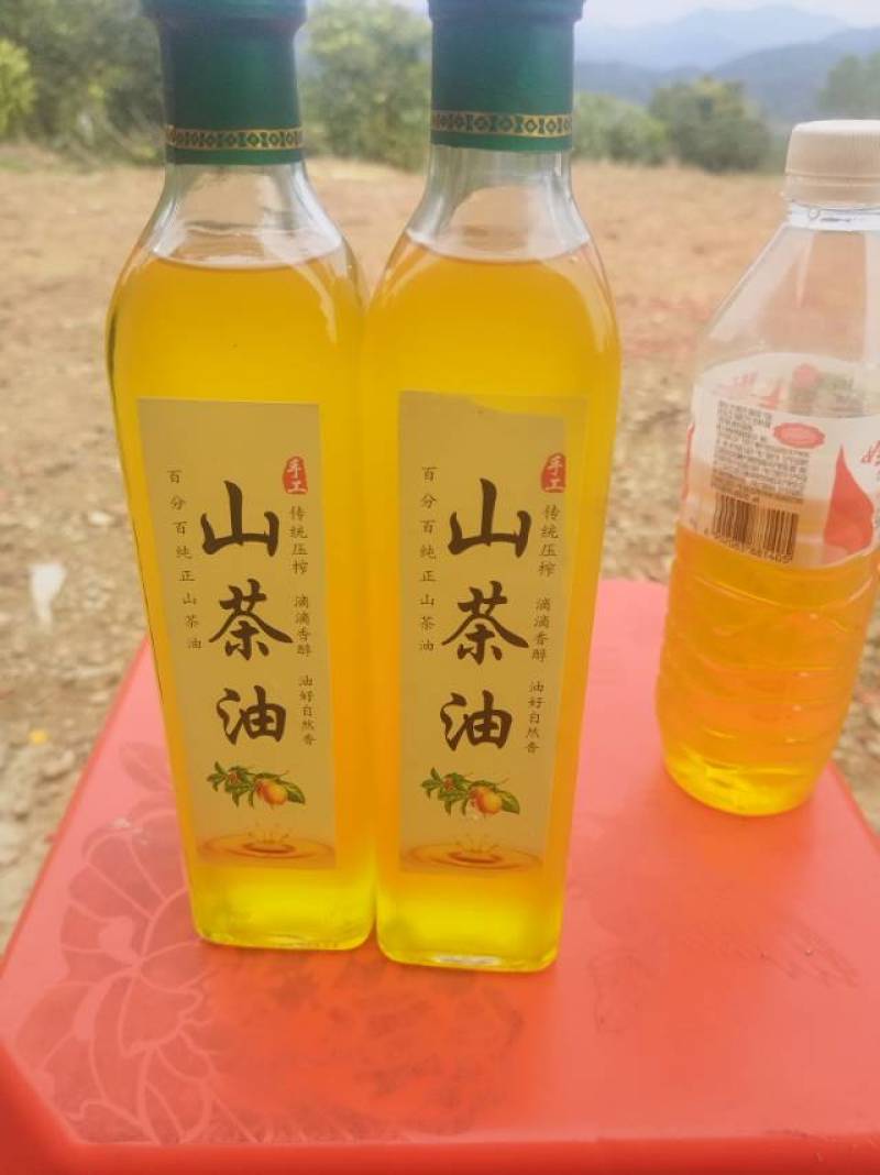 油茶野生油茶高山油茶山茶油油茶