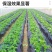 农膜塑料薄膜地膜黑色地膜防草黑地膜除草保温保湿地膜