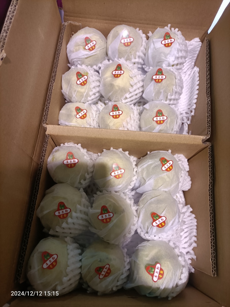 树上熟库尔勒香梨，大量对接商超