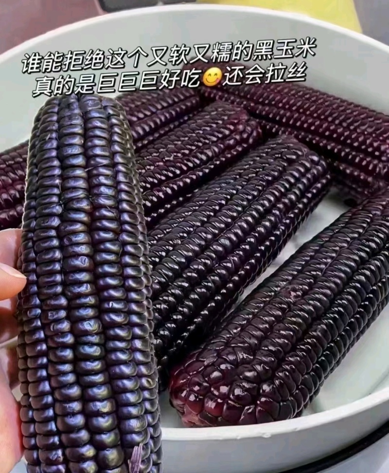 【推荐】黑糯玉米量大从优基地直发对接全国按需包装